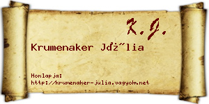 Krumenaker Júlia névjegykártya